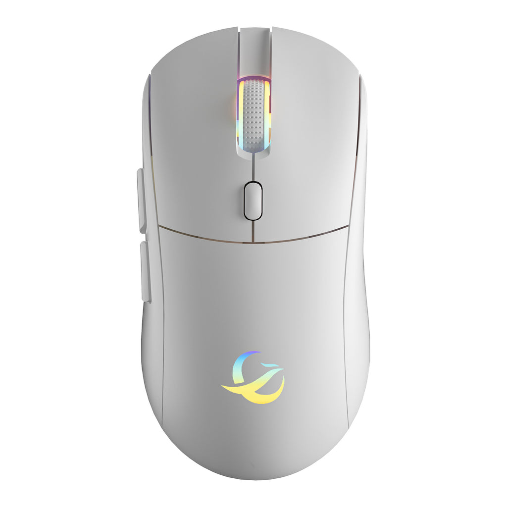 Wireless Bluetooth Mouse