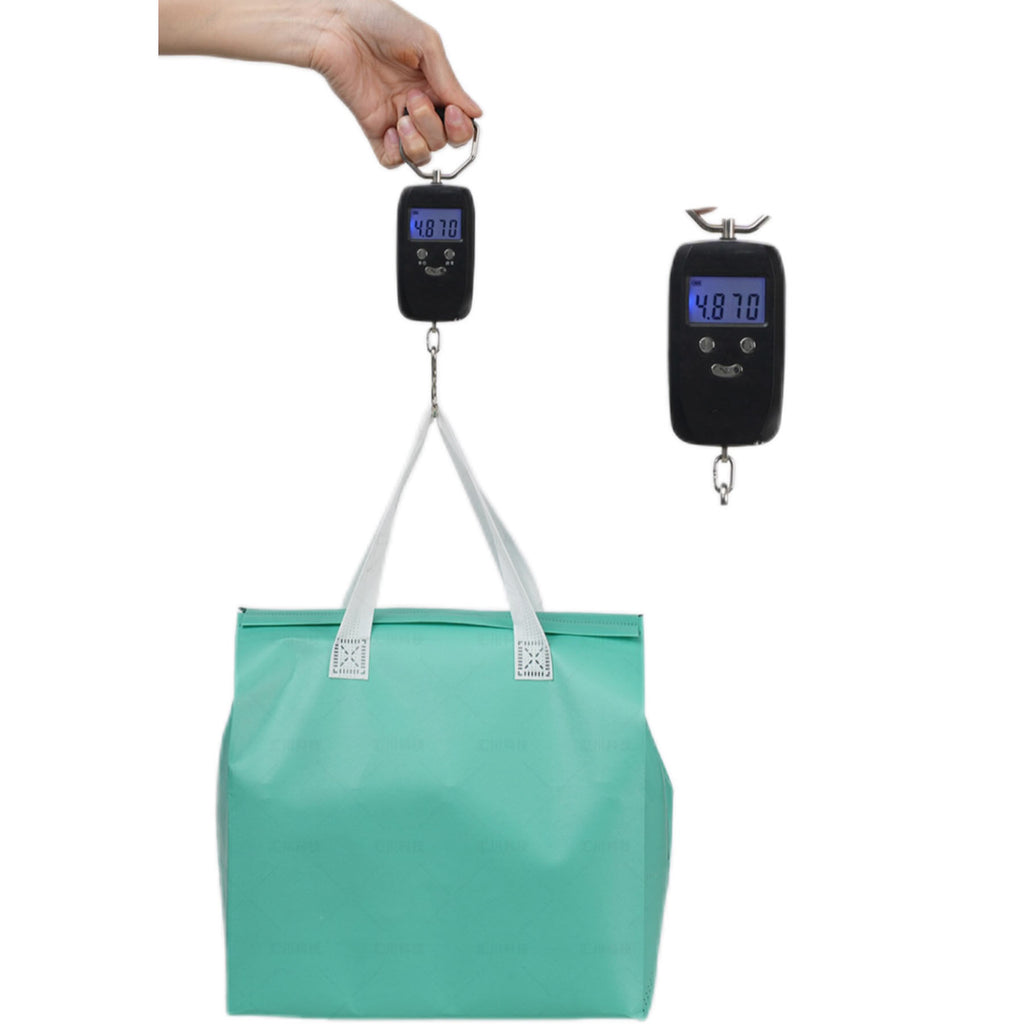 Insulated Non-Woven Delivery Bag - Keep Your Food Fresh