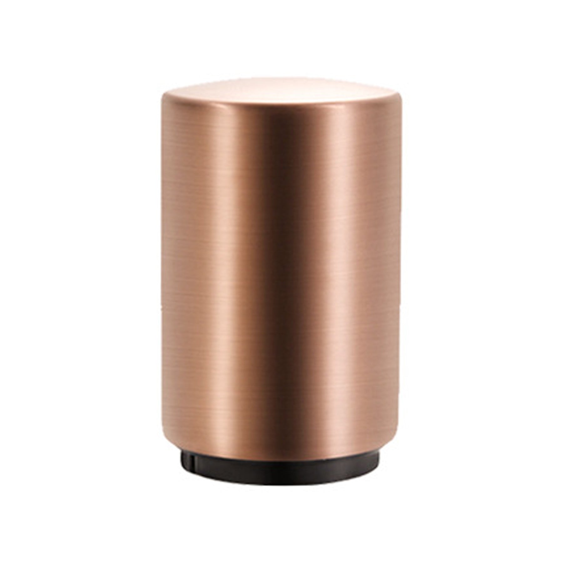 Stainless Steel Press Automatic Bottle Opener