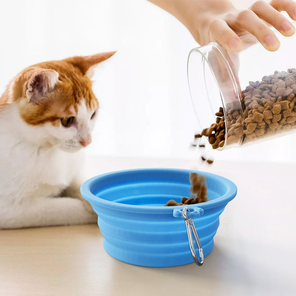 Silicone Collapsible Pet Bowl