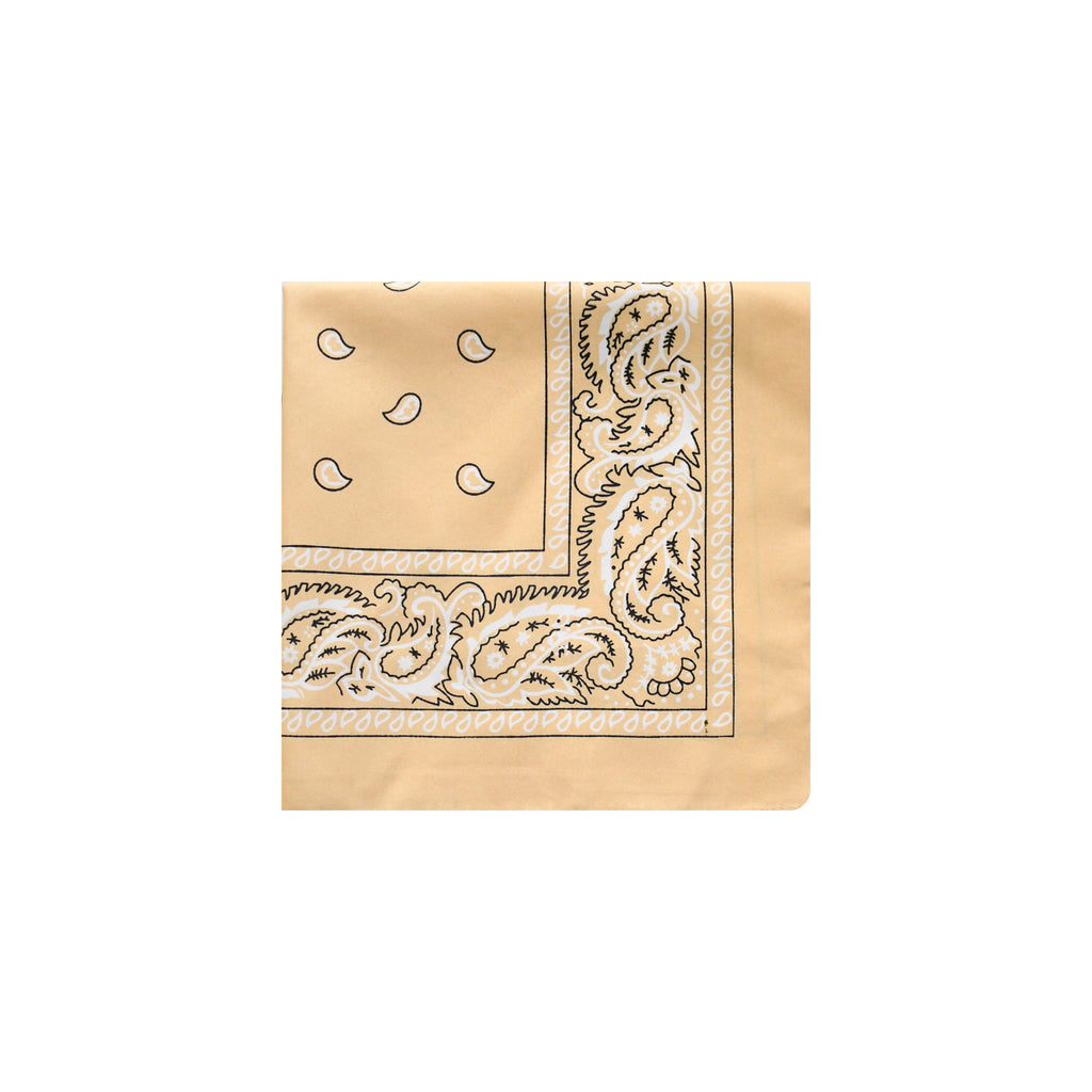 Polyester Cashew Flower Hip-Hop Street Dance Headscarf
