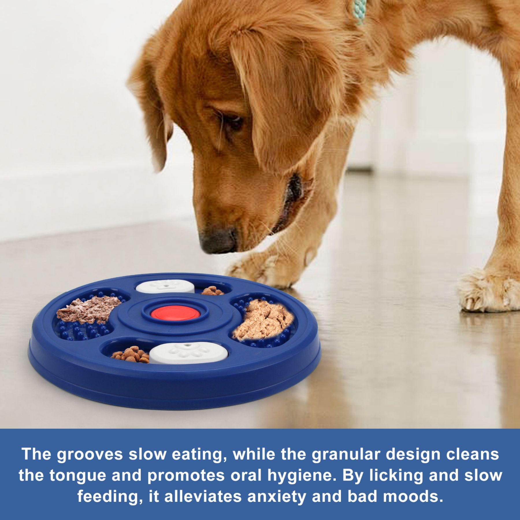 Hidden Pet Food Tray