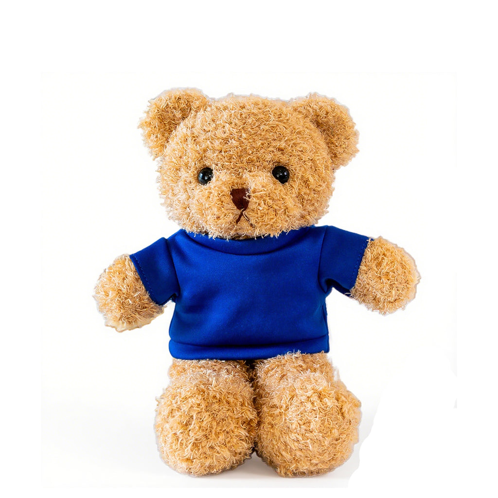 Plush Teddy Bear
