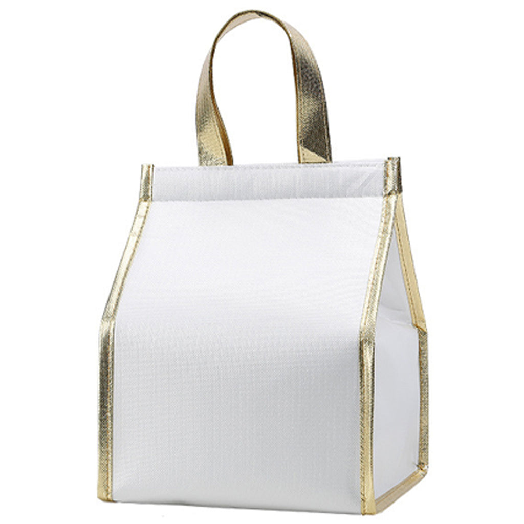 Insulated Food Delivery Bag