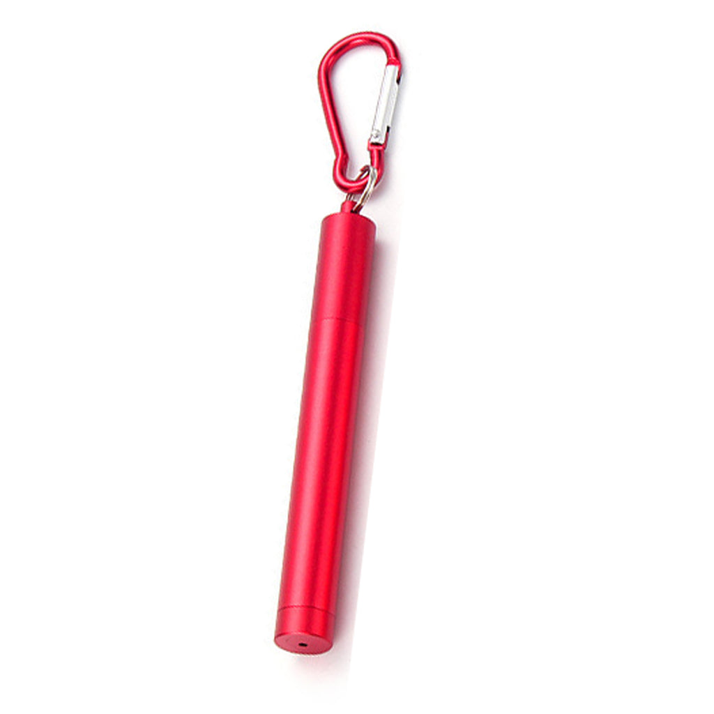 Stainless Steel Telescopic Straw
