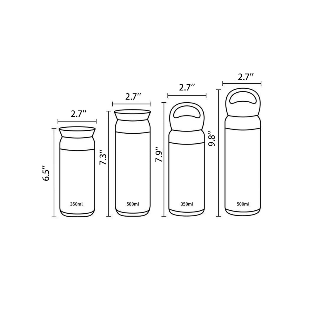 Stainless Steel Insulated Water Bottle - 17Oz