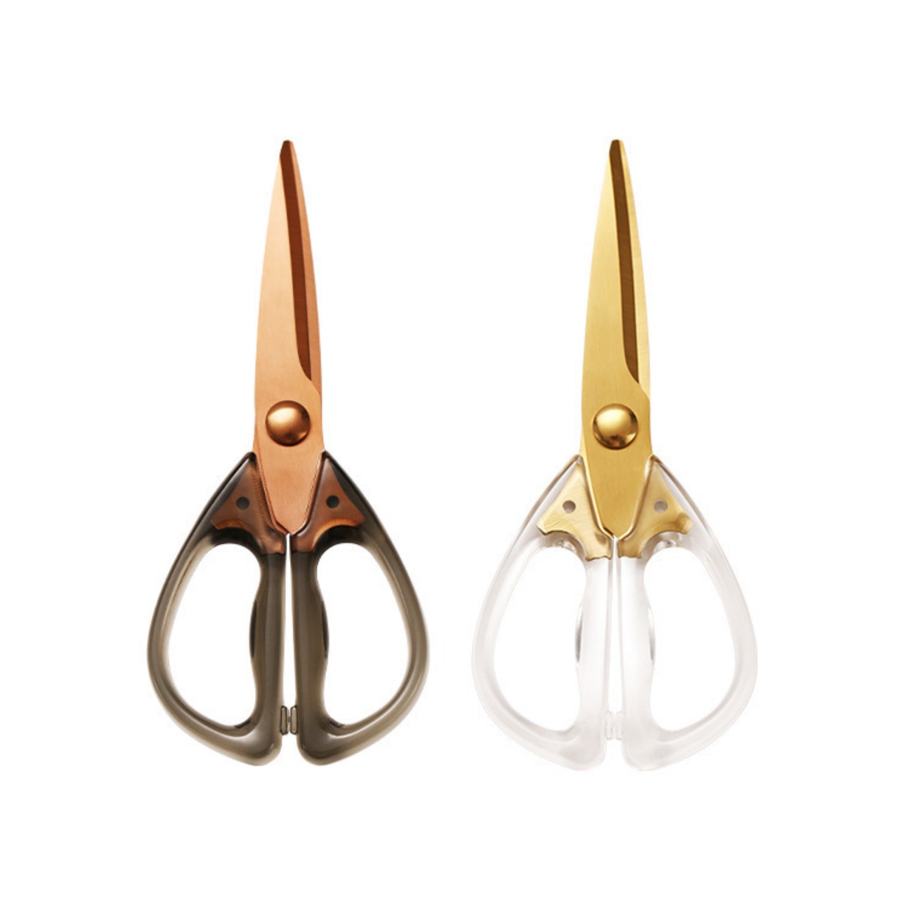 Multifunctional Acrylic Scissors