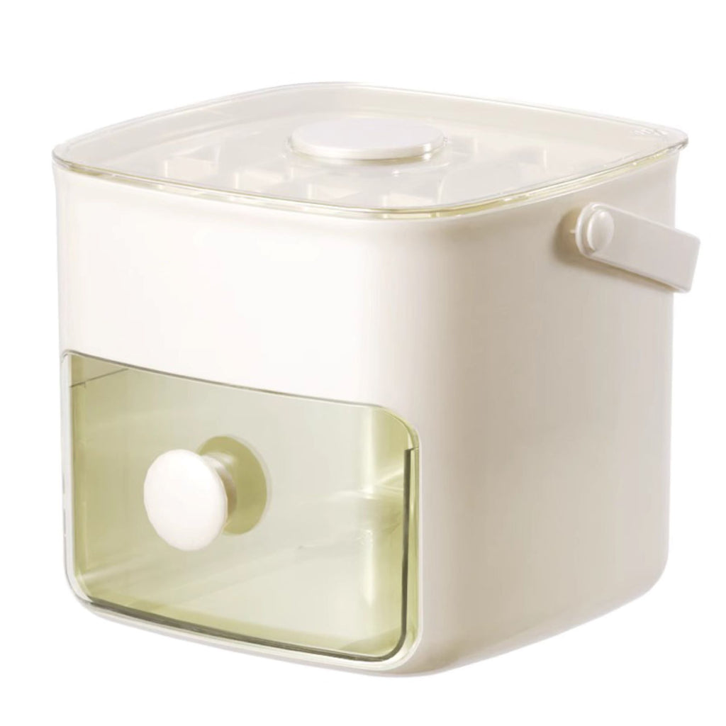 Press - Type Ice Cube Tray Mold