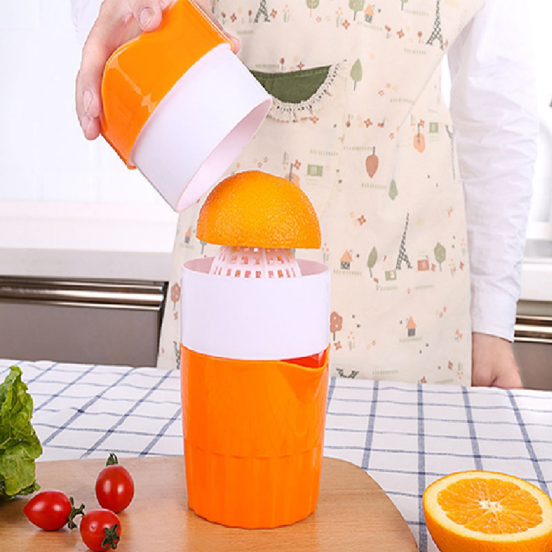 Mini Manual Juicer