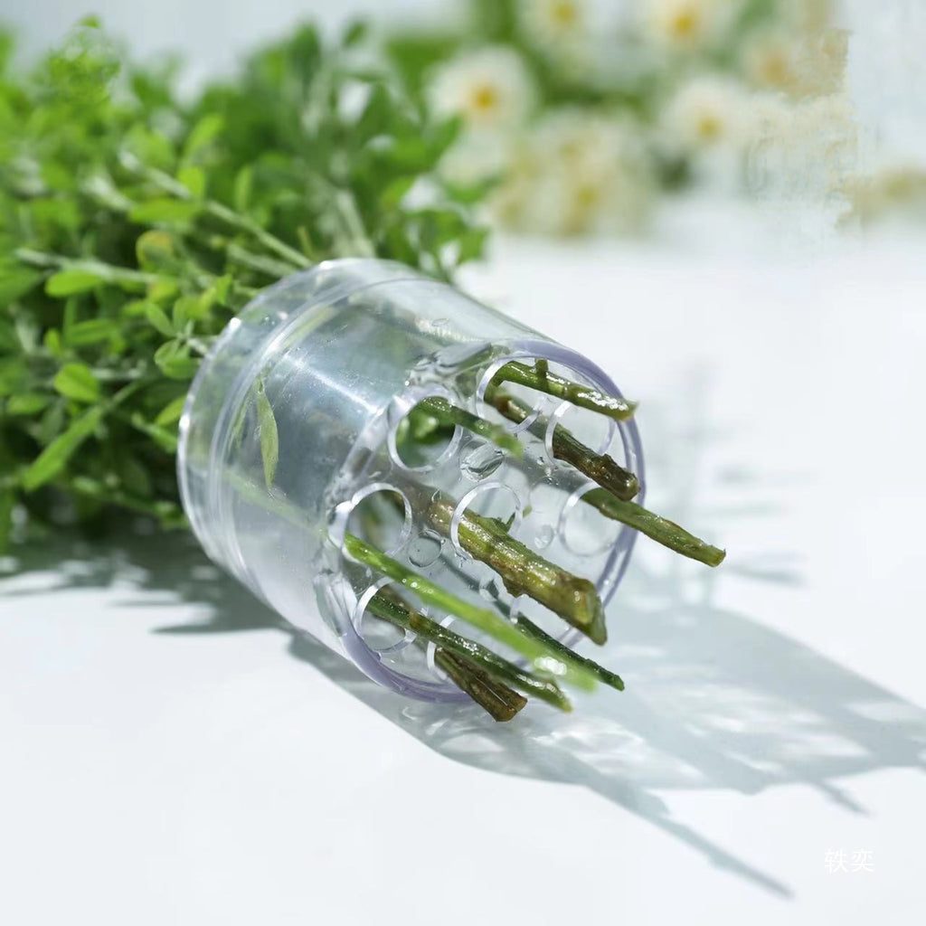 Clear Spiral Ikebana Stem Holder