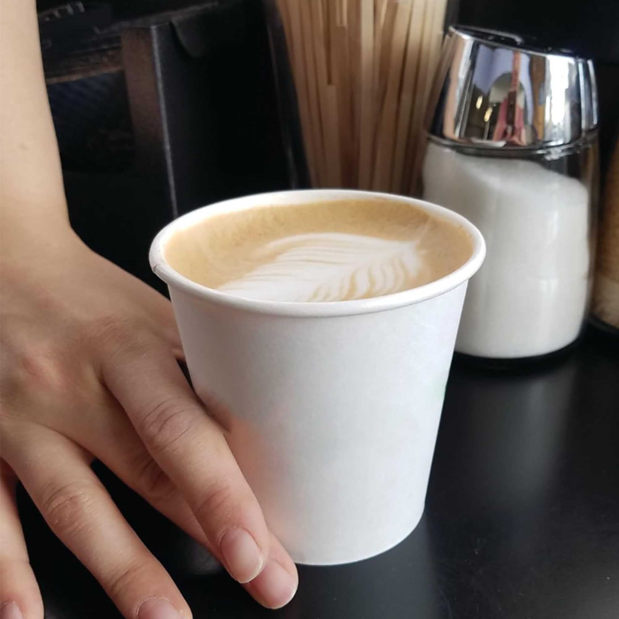 9 Oz.Double Wall Insulated Paper Cups