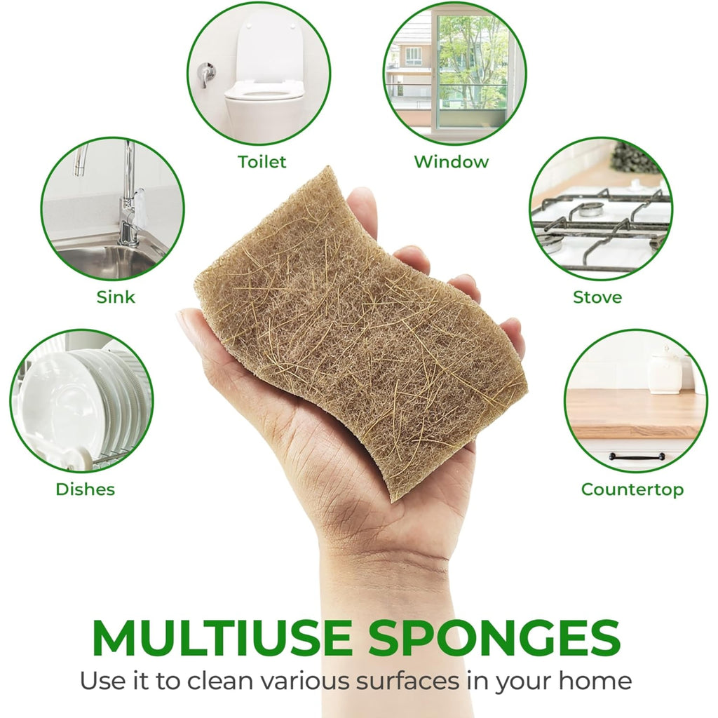 Natural Kitchen Sponge Set (3 Pieces Per Box)