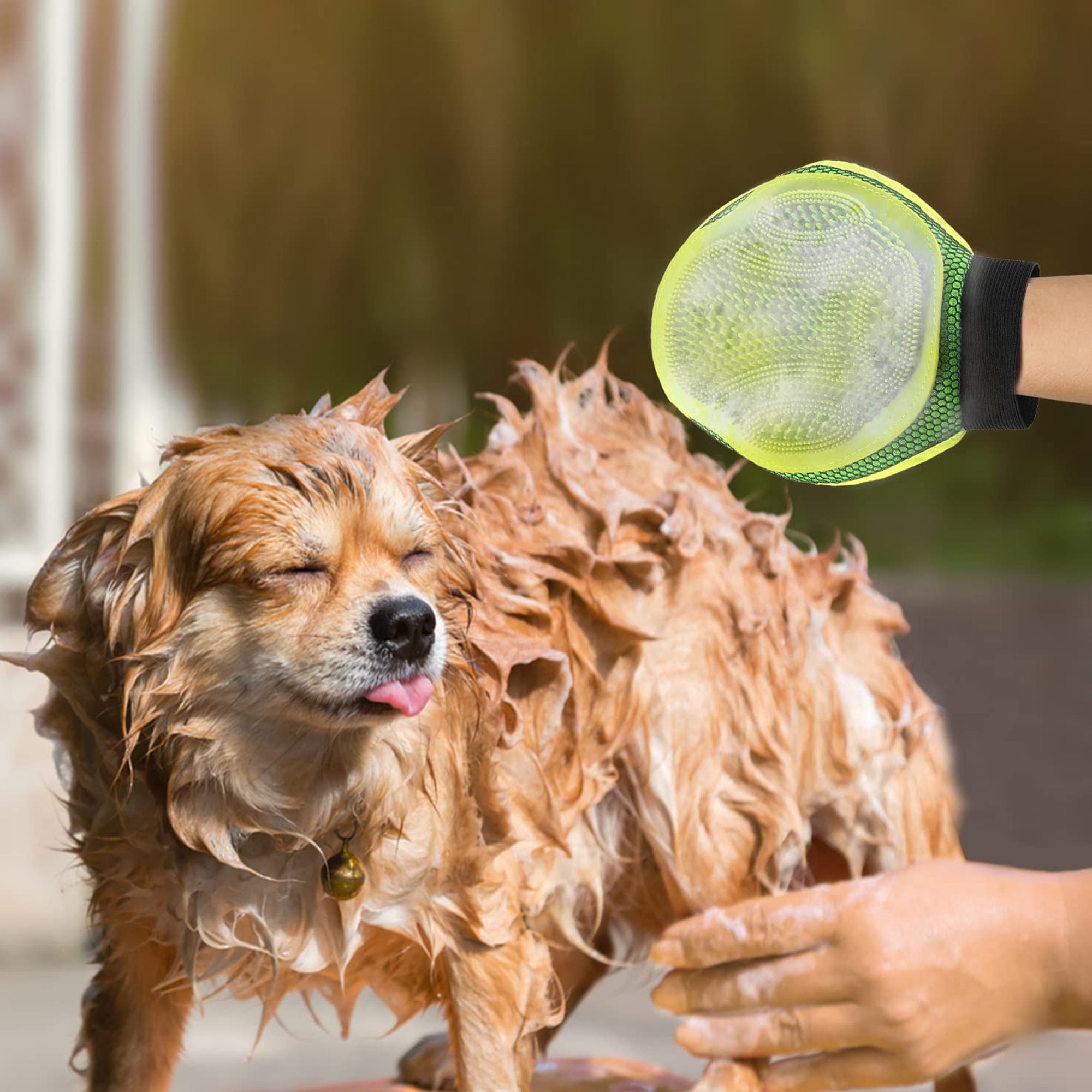 Right Handed Brush for Dogs & Cats