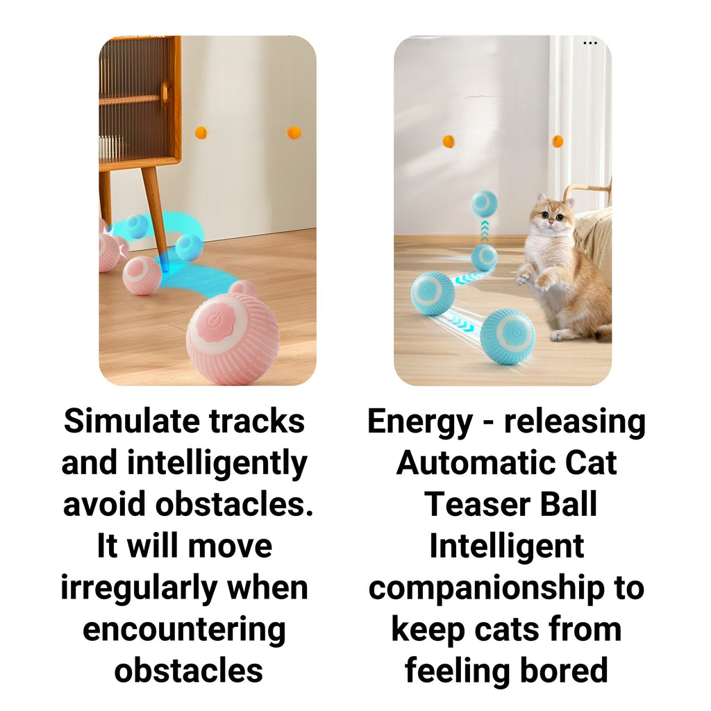 Smart & Engaging Cat Toy Ball
