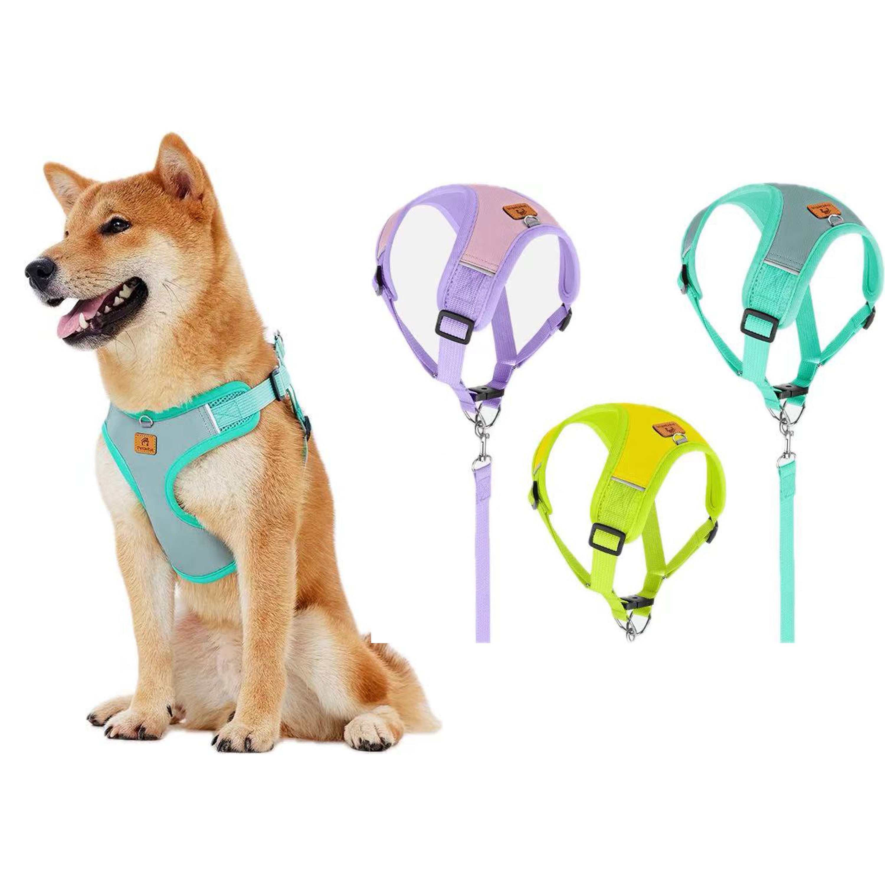Small Dog Harness And Leash Set