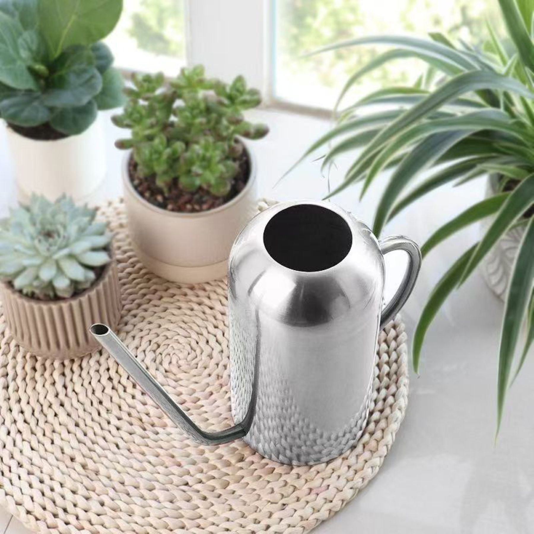 Stainless Steel Long-Spout Flower Watering Pot
