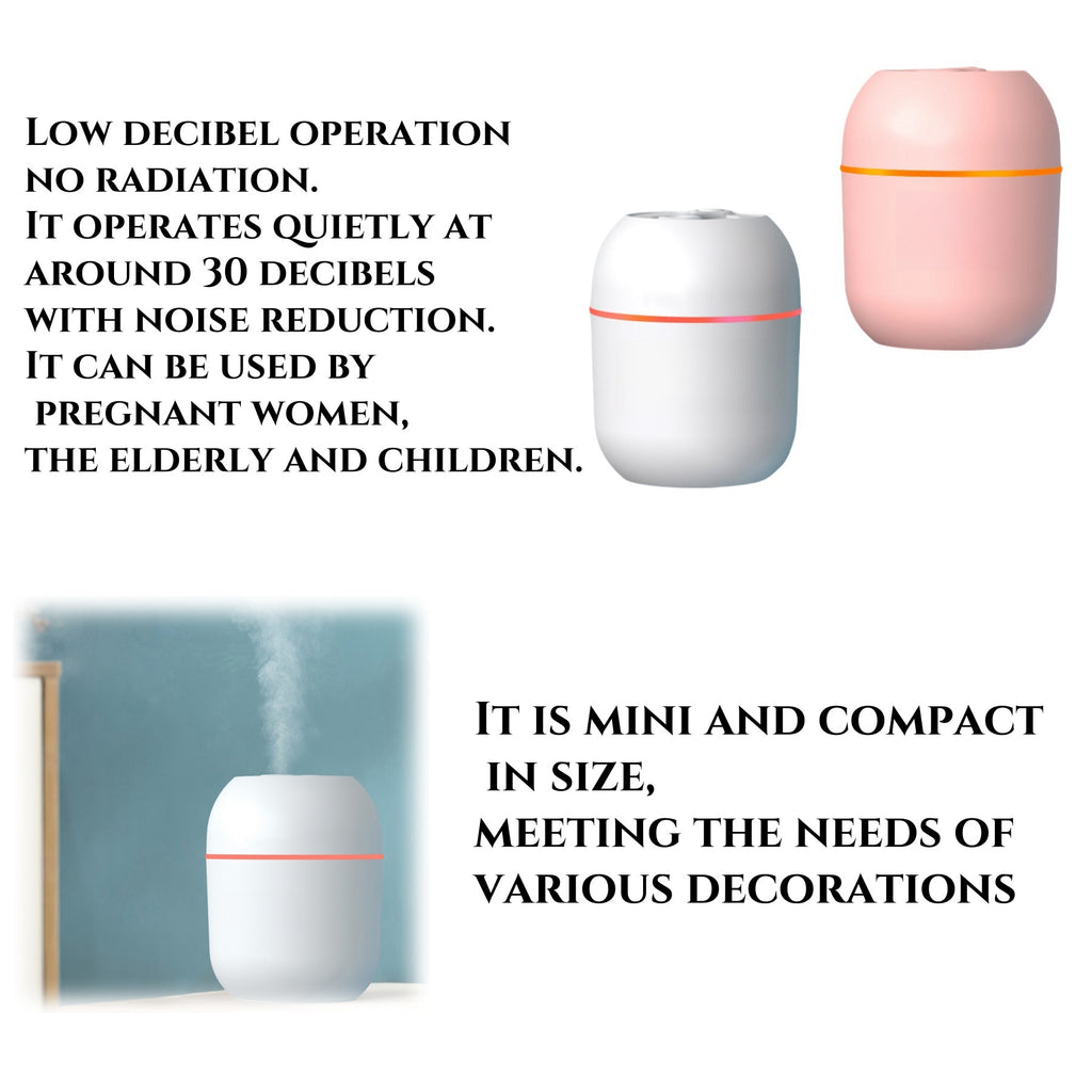 220ml Mini Humidifier
