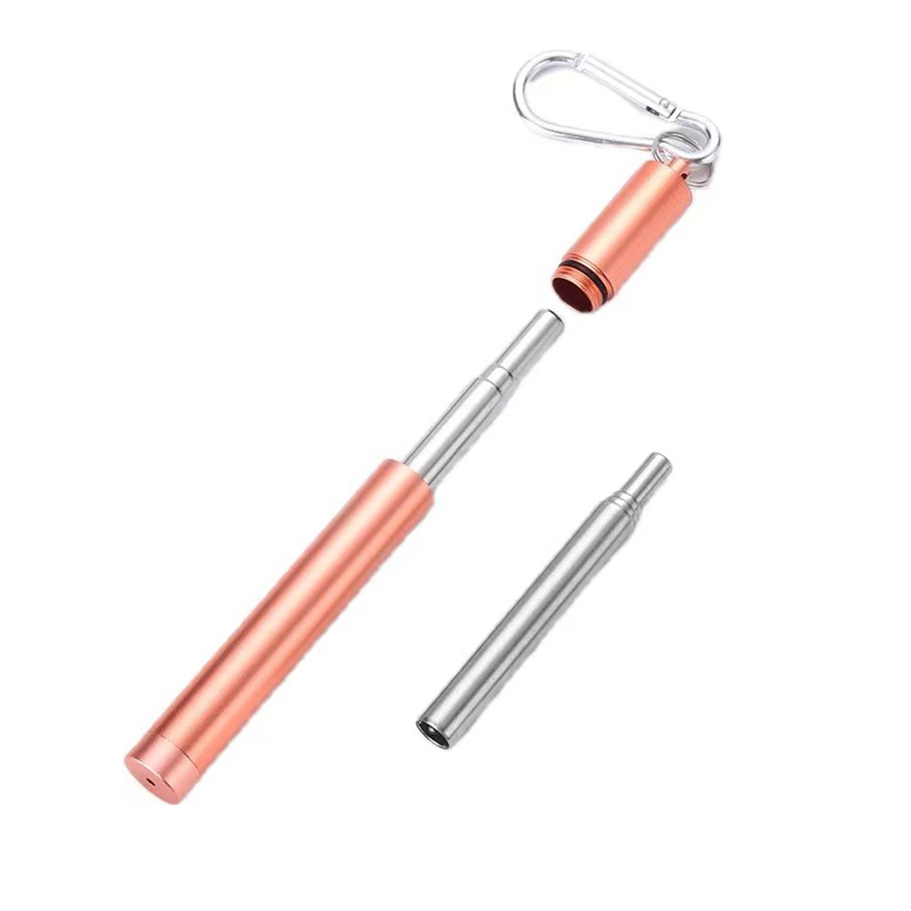 Collapsible Stainless Steel Drinking Straw