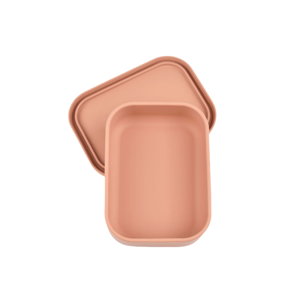 Silicone Sealed Food Storage Container