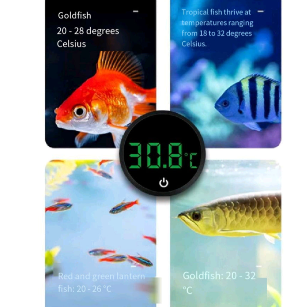 High Accuracy Digital Aquarium Thermometer