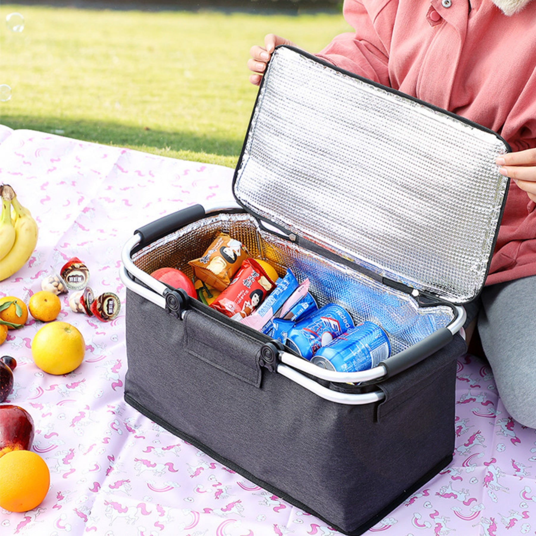 Outdoor Insulated Collapsible Storage Bag