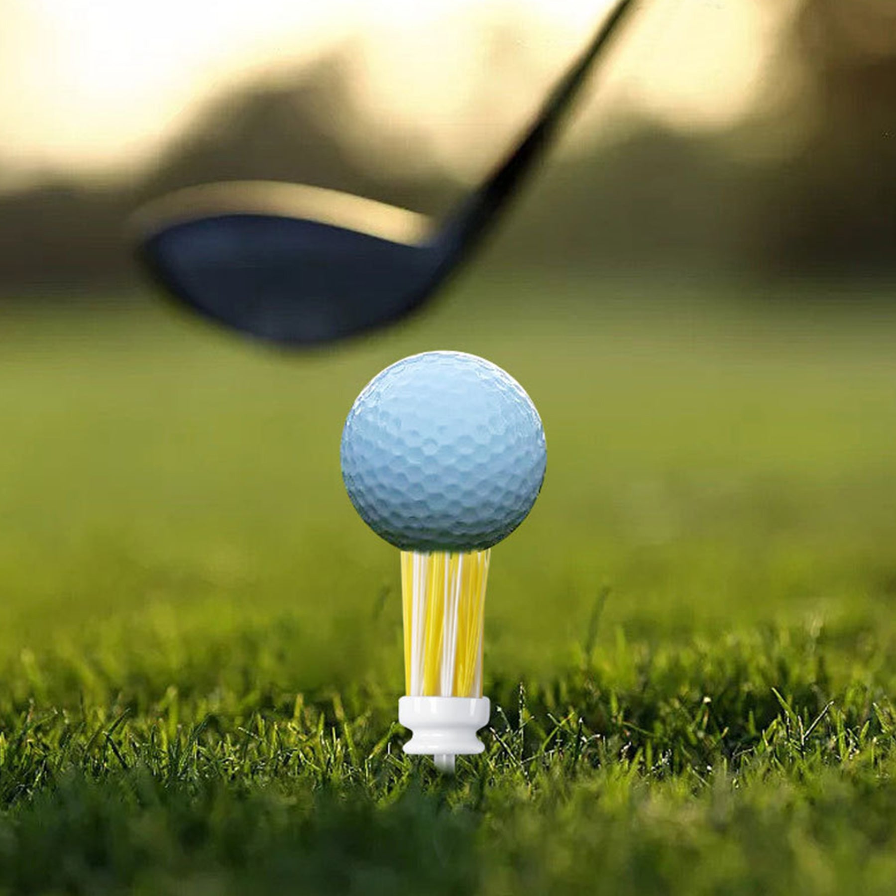 Colored Brush Plastic Golf Ball Tees Set