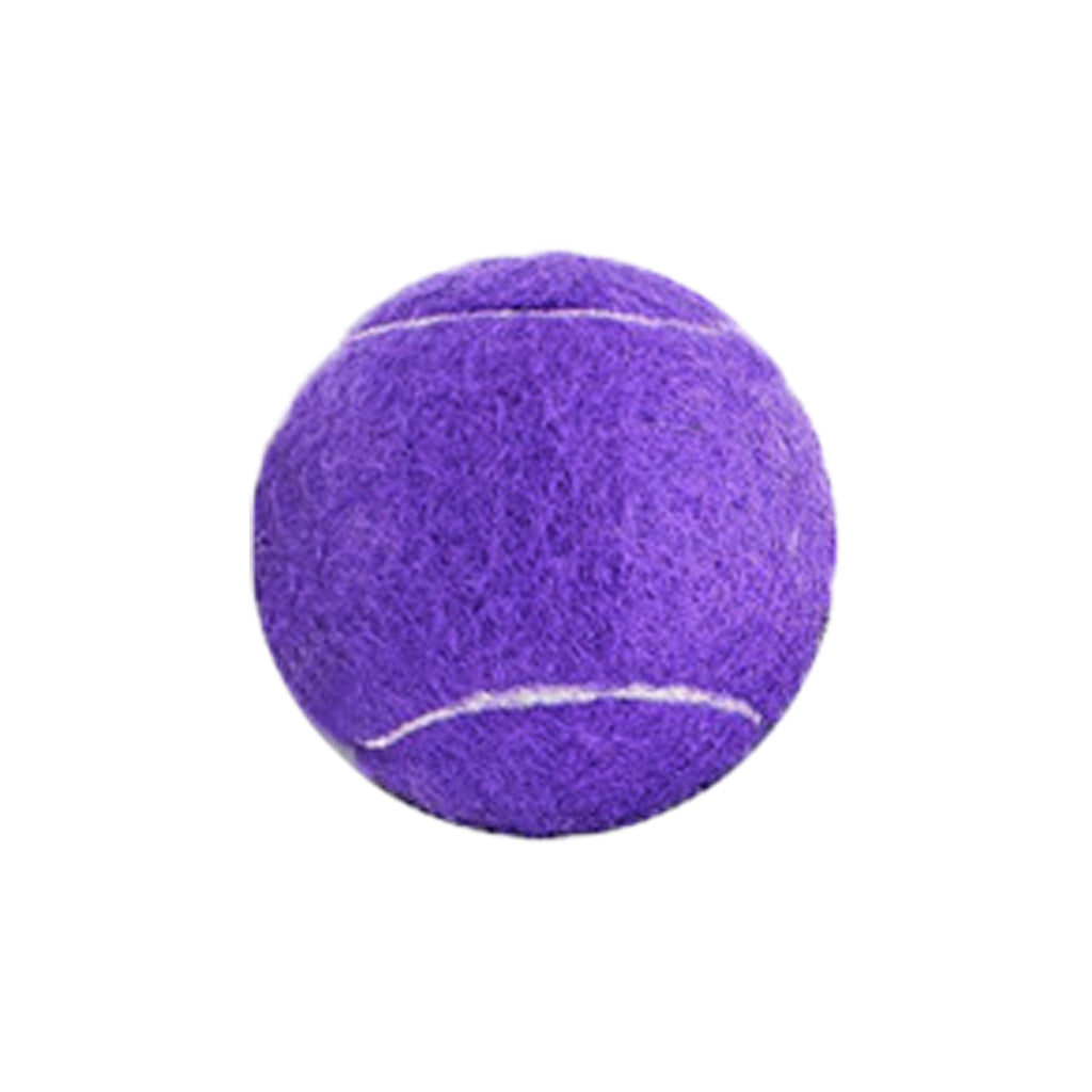 Dog Toy Tennis Balls