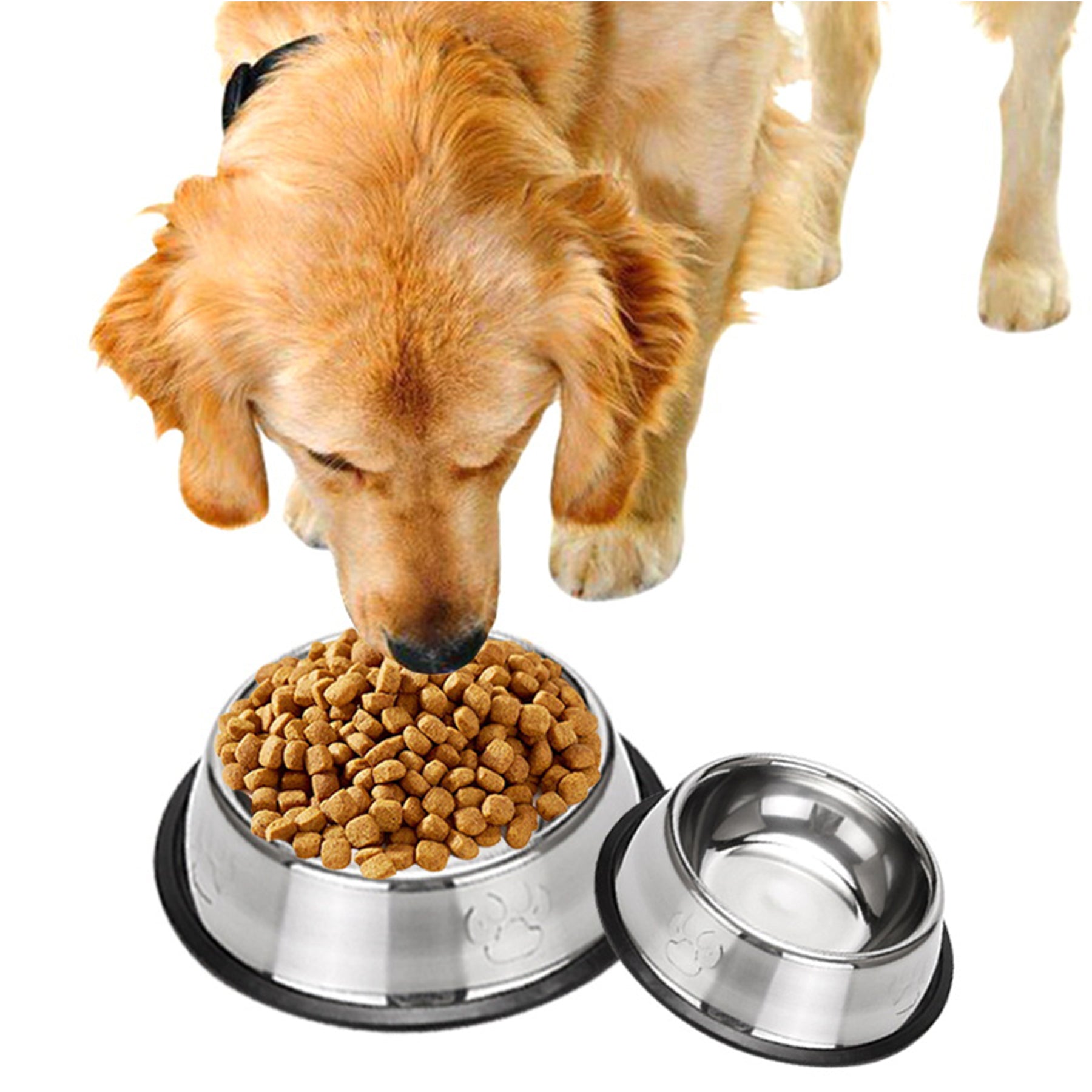 Stainless Steel Pet Bowl