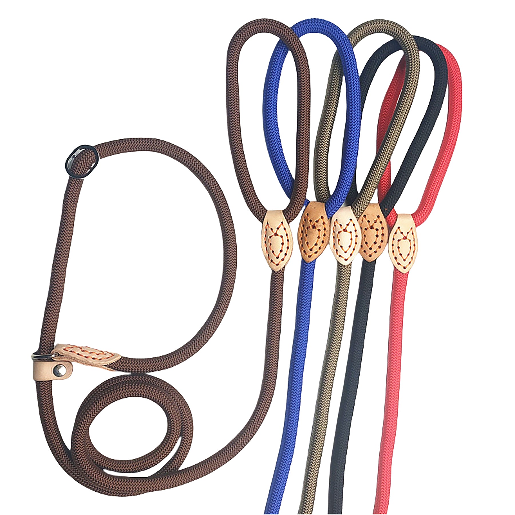 Pet Leash