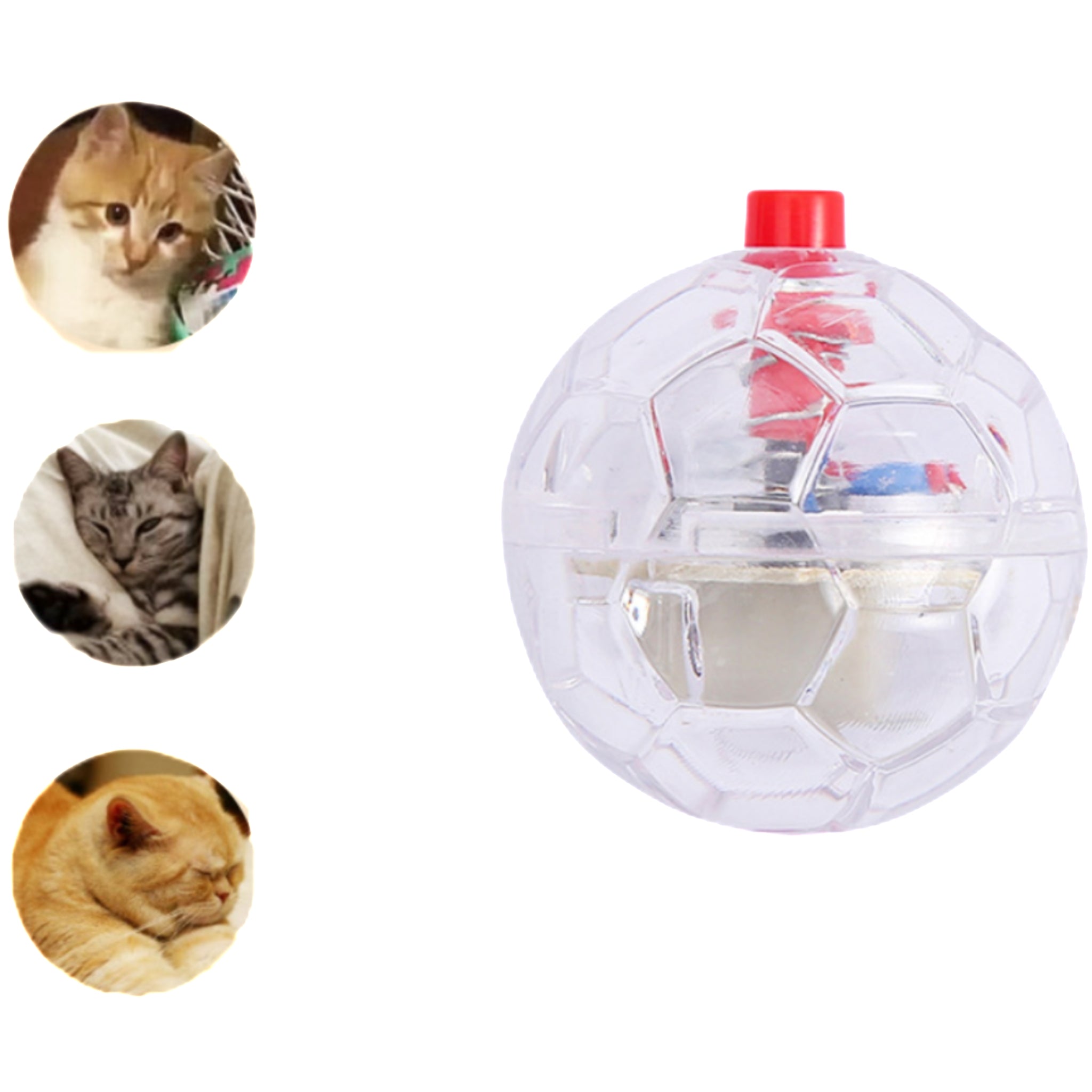 Glowing Transparent Pet Interactive Toy