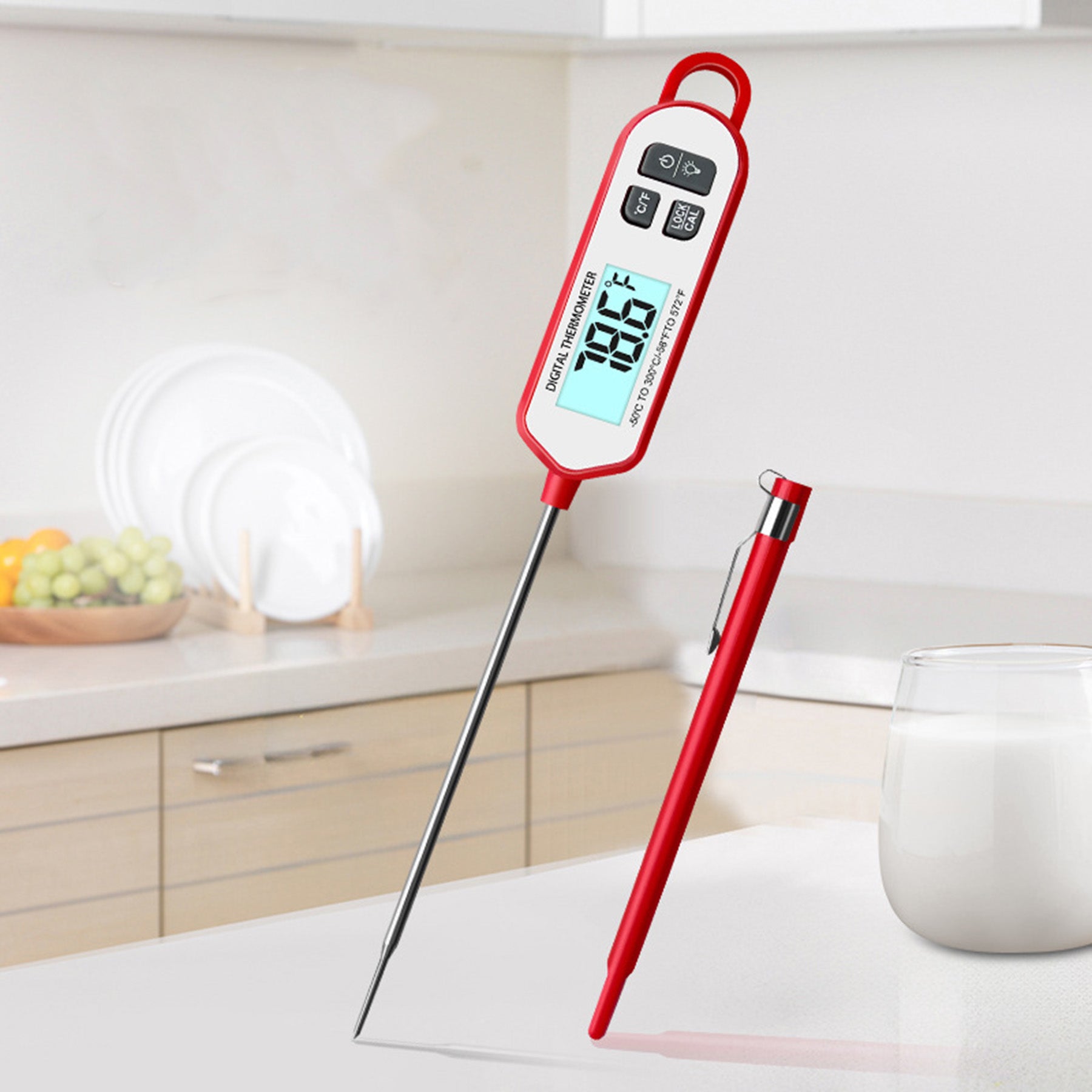 Electronic In-line Food Thermometer