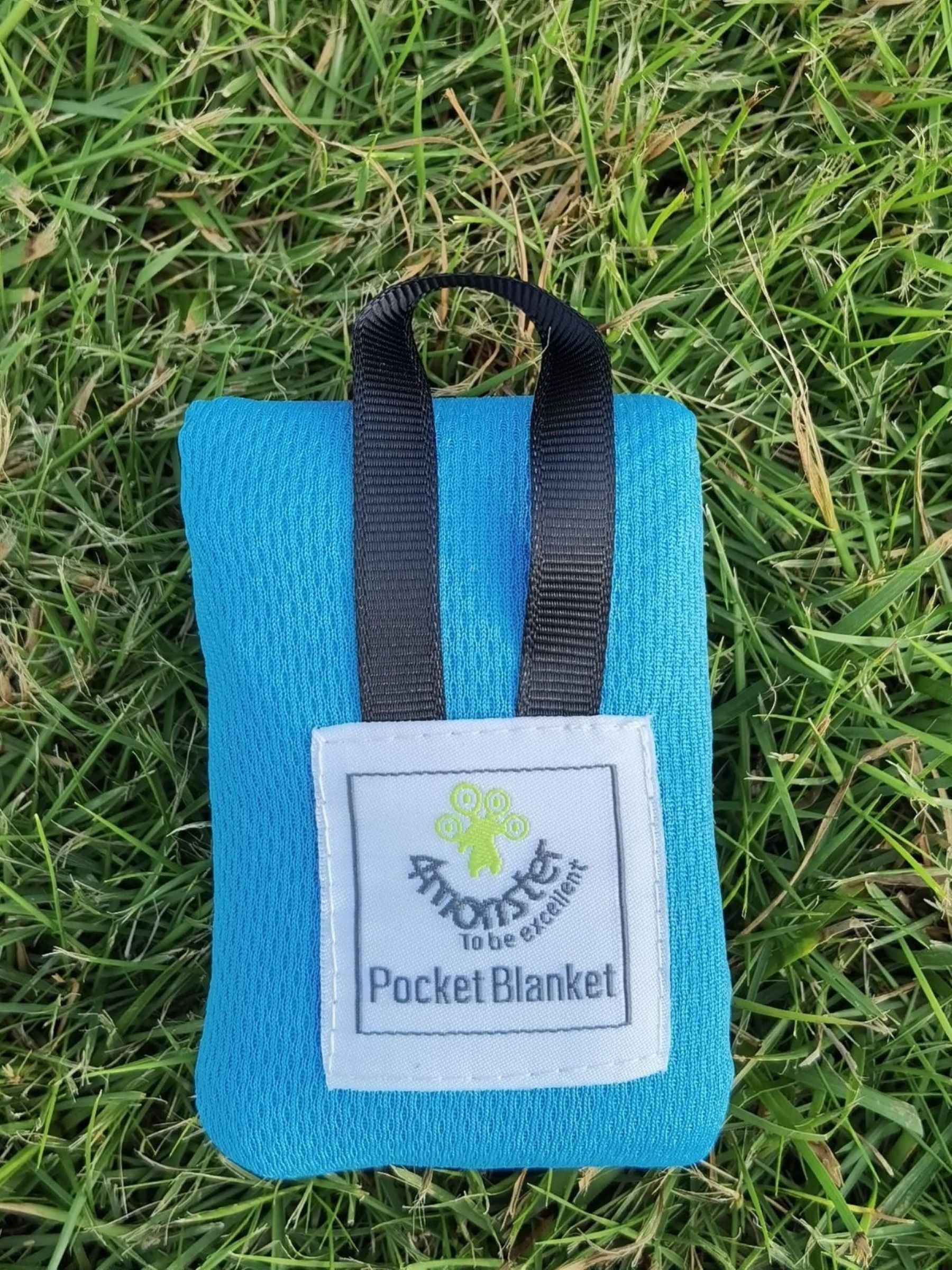 Mini Portable Outdoor Picnic Mat
