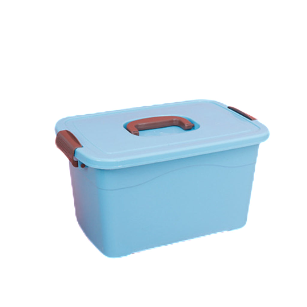 Cartoon - themed Lidded Storage Box