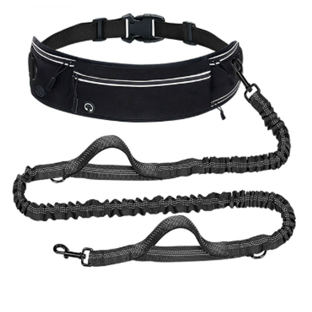 Nylon Anti Pull Dog Leash with Reflective Waist Bag