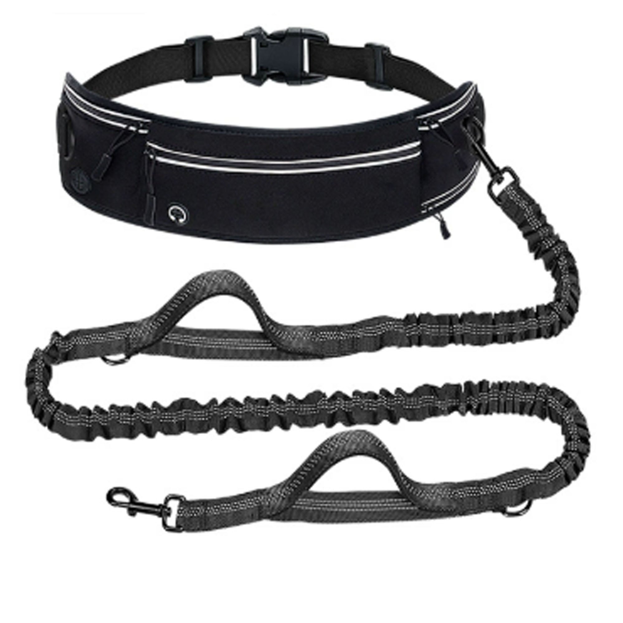 Nylon Anti Pull Dog Leash with Reflective Waist Bag
