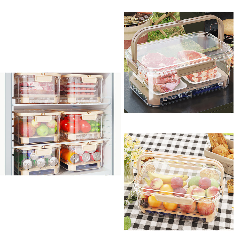 Handled Fresh-Keeping Lunch Box with Drain Tray