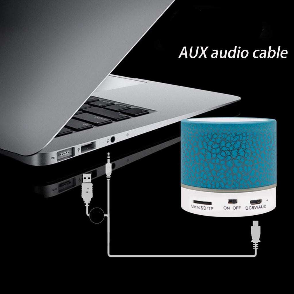 Portable Mini Speaker