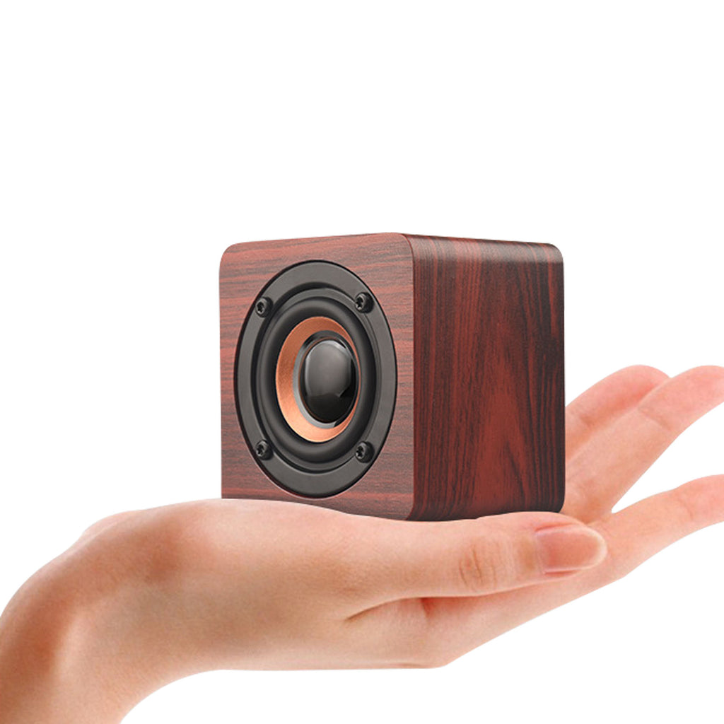 Wooden Single Horn Speaker