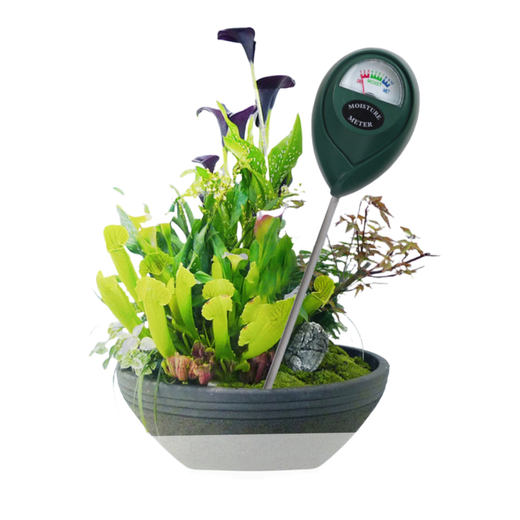 Soil Moisture and pH Tester