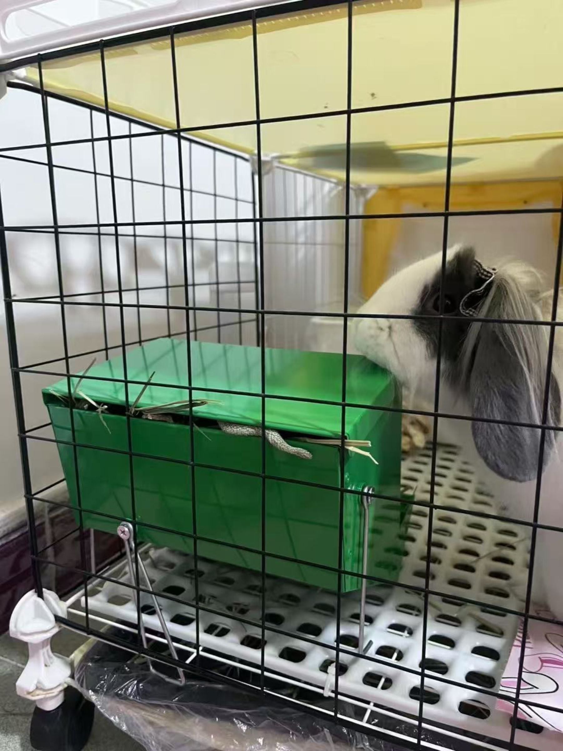 Small Animal Feeder