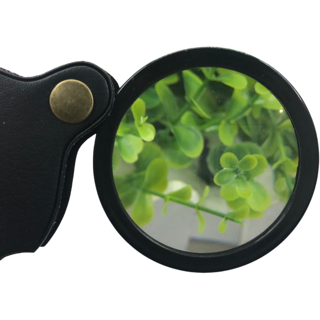 Optical Magnifier