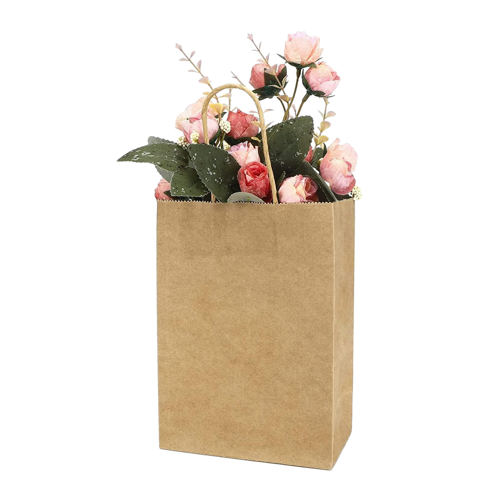Brown Kraft Paper Bag