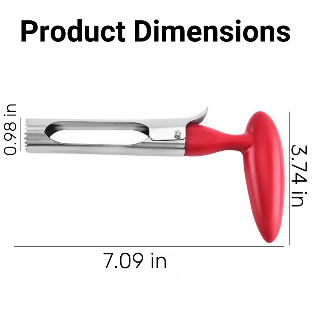Stainless Steel Fruit Pitter