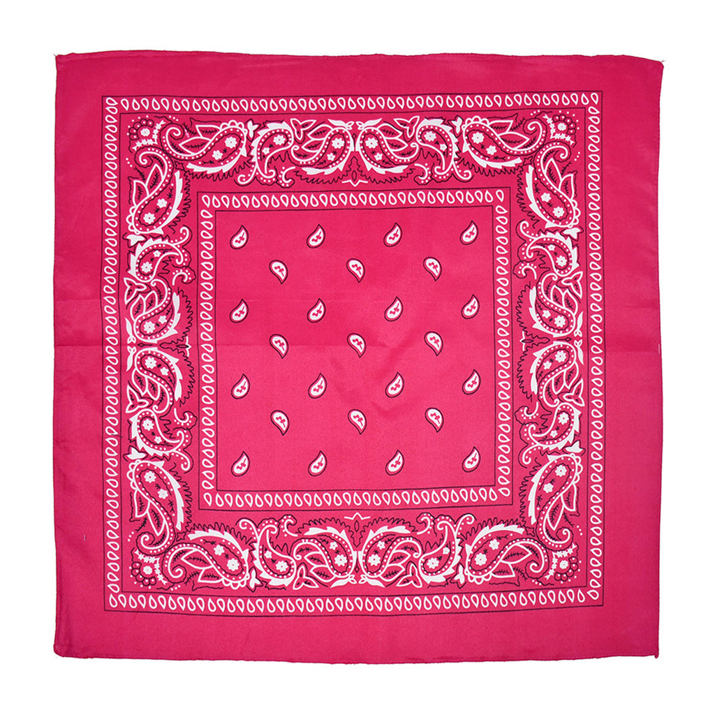 Paisley Bandannas