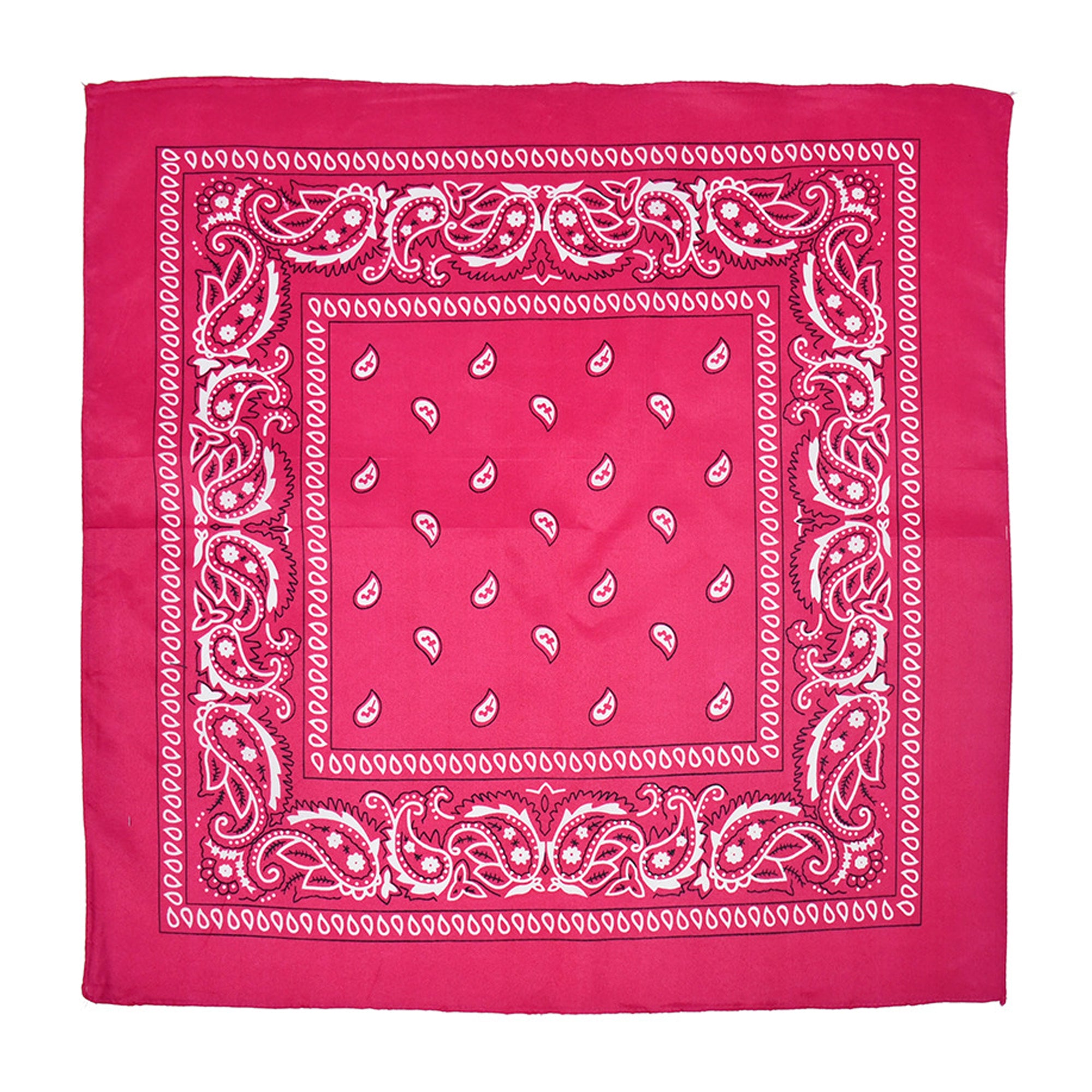 Paisley Bandannas