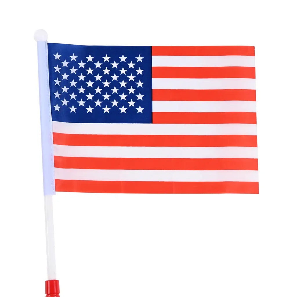 Led Lighting Waving Flag