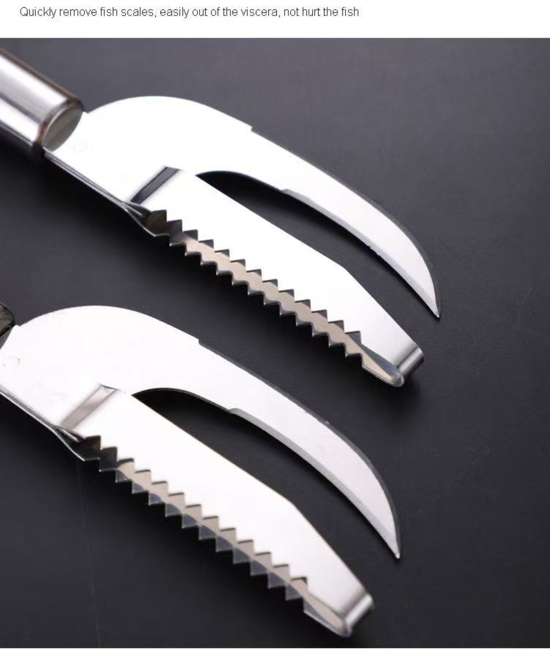 Household Stainless Steel Fish-Skin Removal Tool