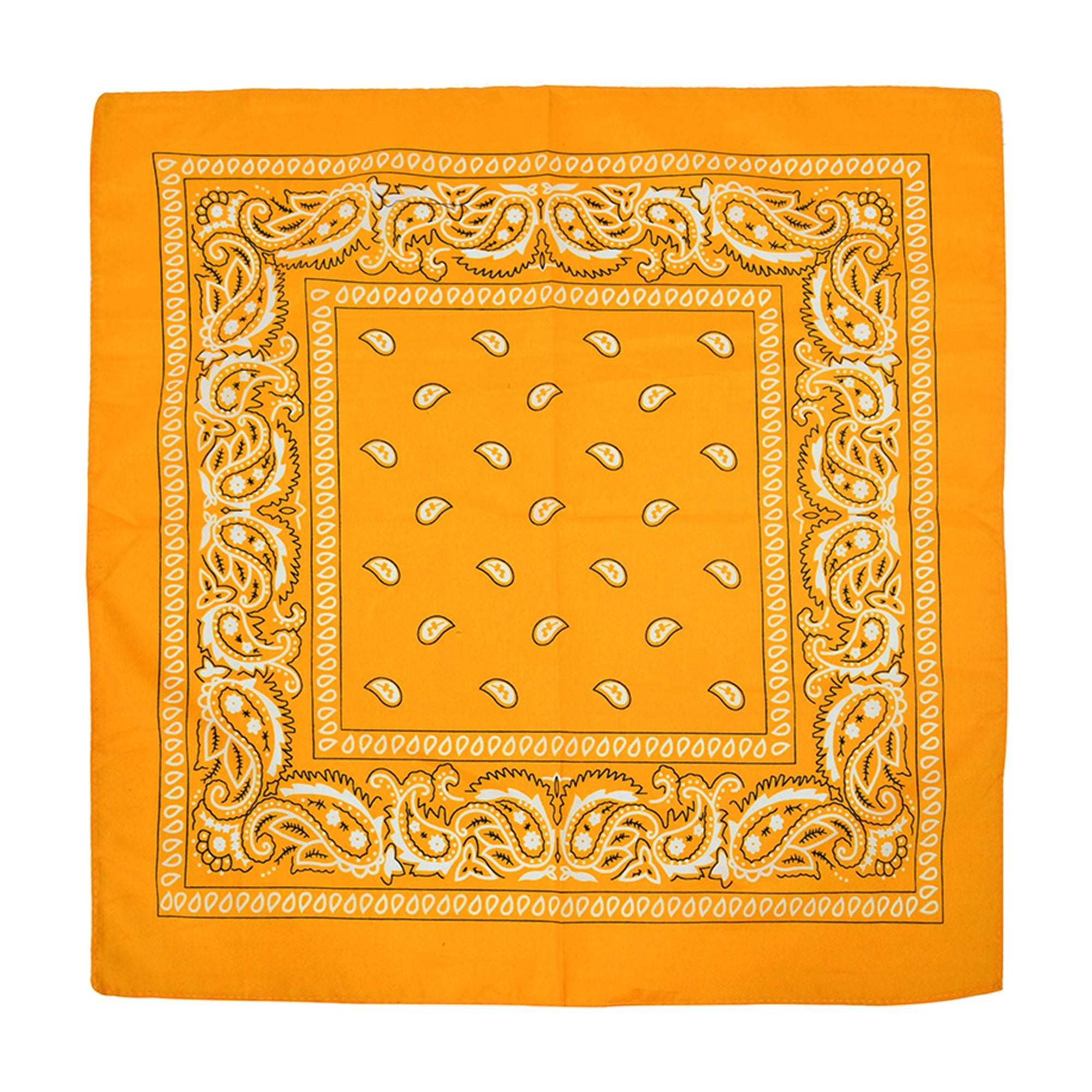 Paisley Bandannas