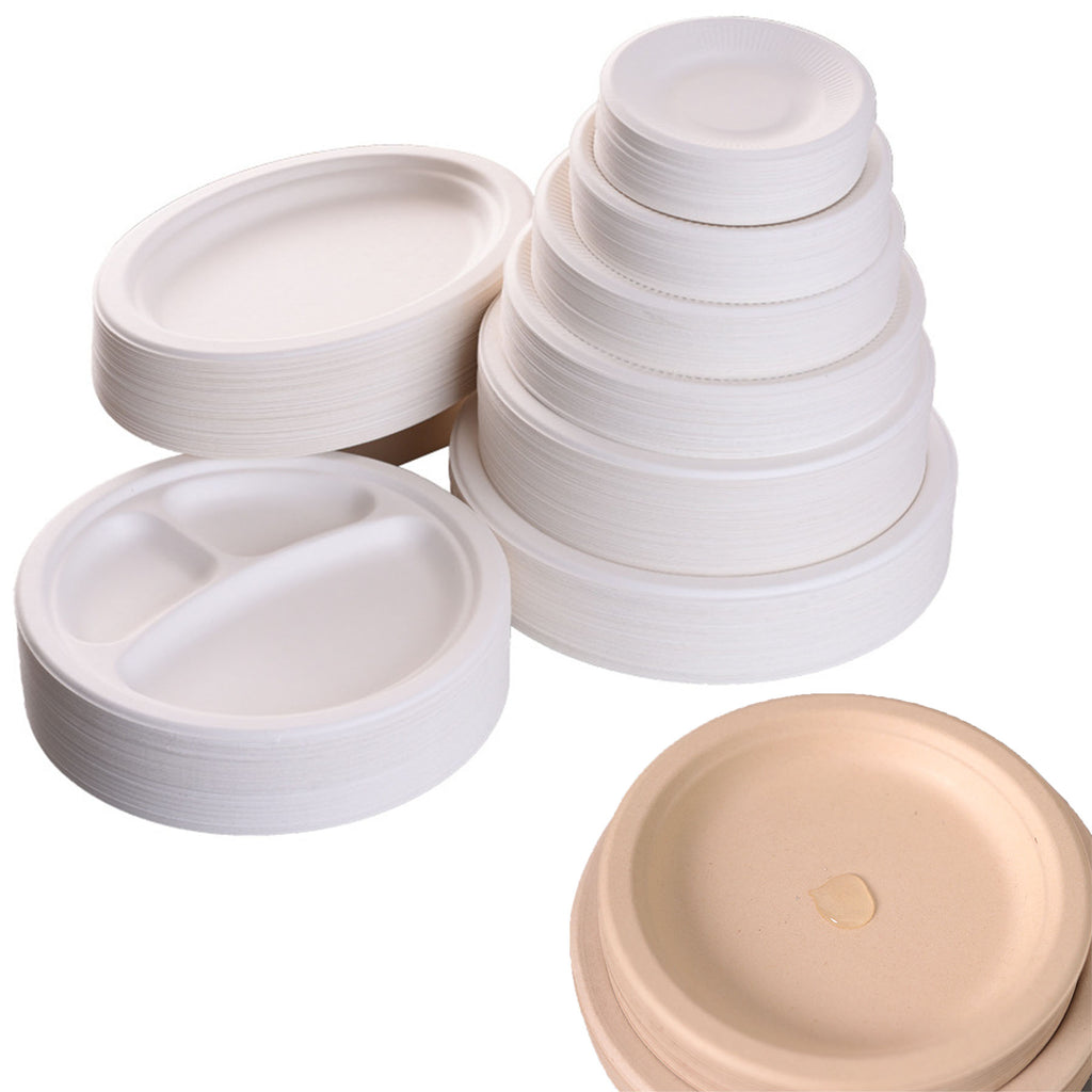 Paper Plates For Everyday Breakfast, Lunch, & Dinner Meals