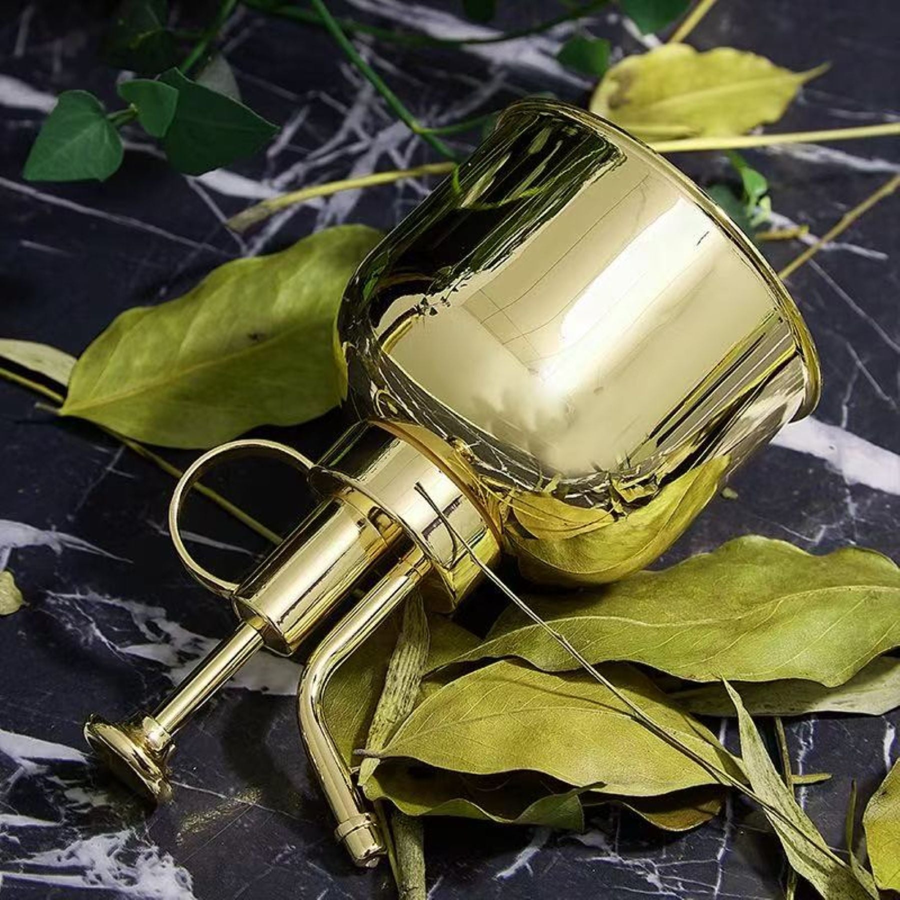 Small Stainless Steel Watering Can